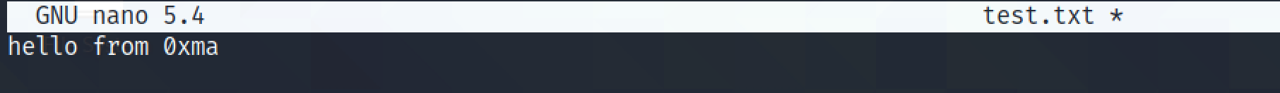 New text file with some content.