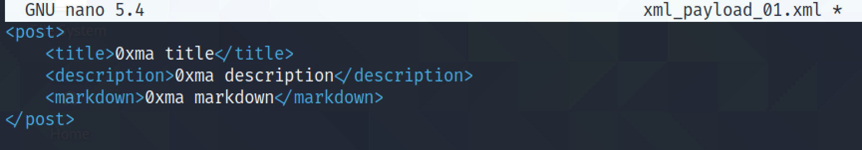 Text file with XML content.